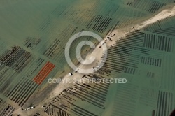 Parcs à huîtres Pointe de la Fumée à Fouras Parcs à huîtres Pointe de la Fumée à Fouras